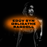 EDUVSYN.png