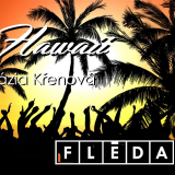 Hawaii-party-06-04-ctverec.png