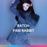 pam-rabbit-square-large-1.jpeg