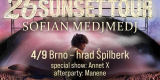 Sofian-Medjmedj-Large.jpeg