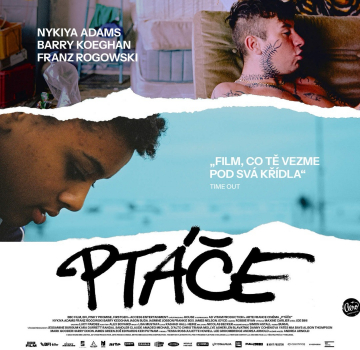 Ptace-Large.jpeg