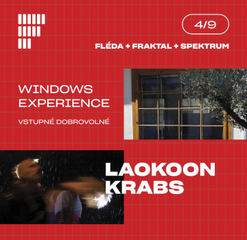 Windows-EXP-post-Large.jpeg