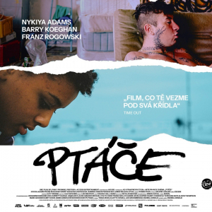 Ptace-Large.jpeg