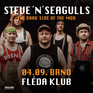 stevenseagulls-ctverec.png