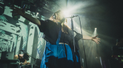 FALLGRAPP-09411.jpg
