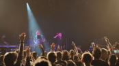 Herbaliser-Dag-Markl21.jpg