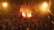 Herbaliser-Dag-Markl7.jpg