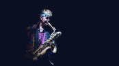 Too-Many-Zooz-Tomas-Valnoha-6-.jpg